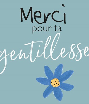 MERCI POUR TA GENTILLESSE