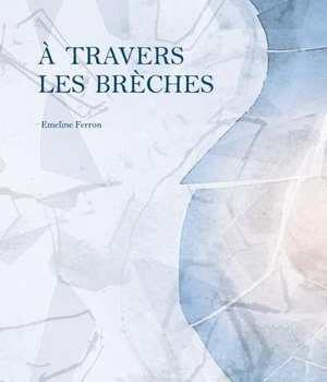A TRAVERS LES BRECHES - EDITION ILLUSTREE