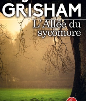 L'ALLEE DU SYCOMORE