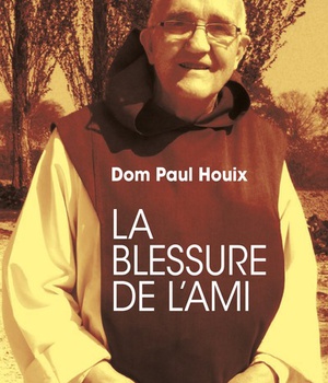 LA BLESSURE DE L'AMI