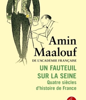 UN FAUTEUIL SUR LA SEINE