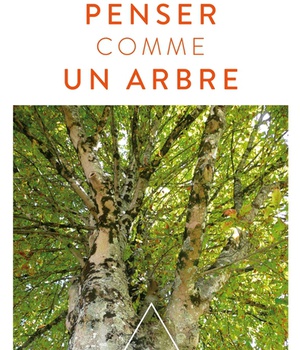 PENSER COMME UN ARBRE