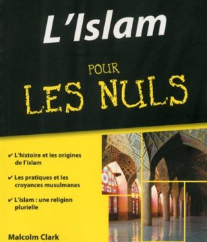 L'ISLAM POCHE POUR LES NULS