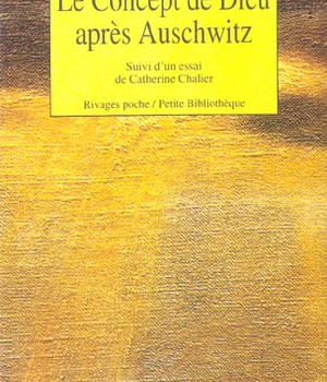 LE CONCEPT DE DIEU APRES AUSCHWITZ