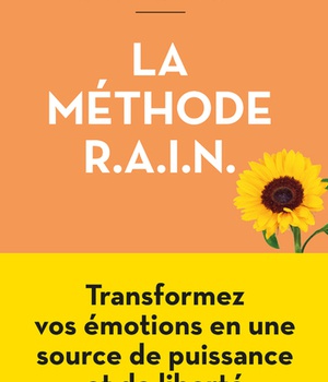 LA METHODE R.A.I.N. - TRANSFORMEZ VOS EMOTIONS EN UNE SOURCE DE PUISSANCE ET DE LIBERTE