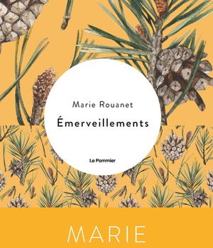 EMERVEILLEMENTS