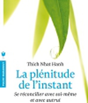 LA PLENITUDE DE L'INSTANT - SE RECONCILIER AVEC SOI-MEME ET AVEC AUTRUI