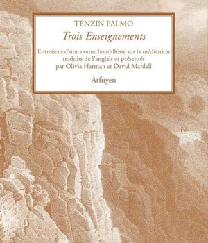 TROIS ENSEIGNEMENTS