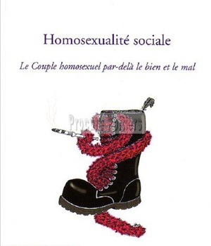 HOMOSEXUALITE SOCIALE - LE COUPLE HOMOSEXUEL PAR-DELA LE BIEN ET LE MAL