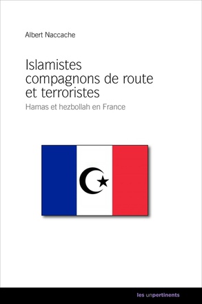 HAMAS - HEZBOLLAH EN FRANCE - ISLAMISTES COMPAGNONS DE ROUTE ET TERRORISTES TOME 2