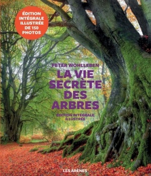 LA VIE SECRETE DES ARBRES - EDITION ILLUSTREE