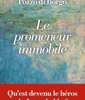 LE PROMENEUR IMMOBILE