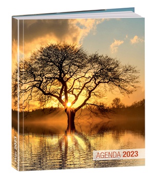 AGENDA PRIER 2023