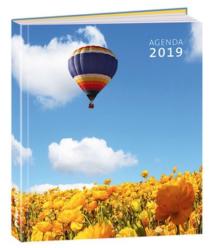 AGENDA PRIER 2019