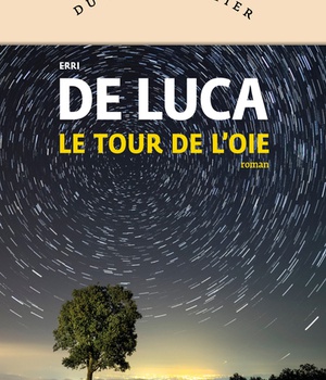 LE TOUR DE L'OIE
