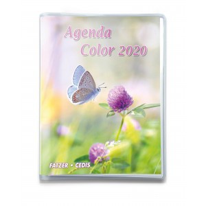 AGENDA COLOR 2020 NDSP