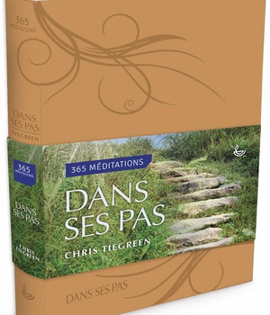 DANS SES PAS - 365 MEDITATIONS