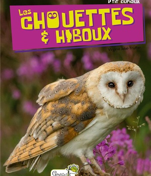CHOUETTES ET HIBOUX