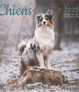 CALENDRIER CHIENS 2025