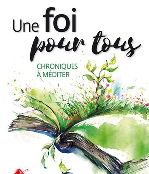 UNE FOI POUR TOUS - CHRONIQUES A MEDITER