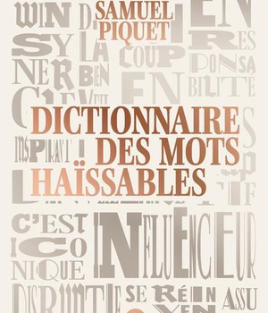 DICTIONNAIRE DES MOTS HAISSABLES