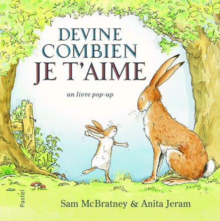DEVINE COMBIEN JE T AIME POP UP