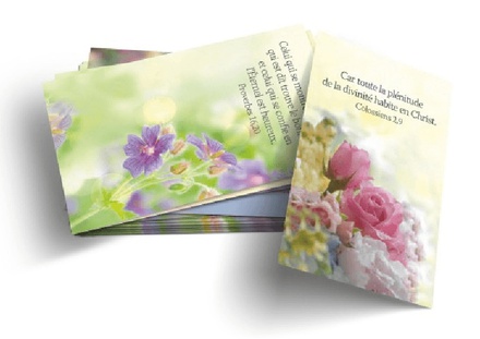 LOT DE 100 MINI CARTES BIBLIQUES : CELEBREZ DIEU NDSP