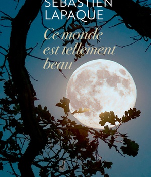 CE MONDE EST TELLEMENT BEAU