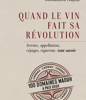 QUAND LE VIN FAIT SA REVOLUTION - TERROIRS, APPELLATIONS, CEPAGES, VIGNERONS : TOUT SAVOIR