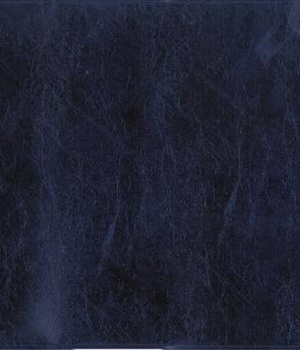 LISEUSE LITURGIE DES HEURES - AVEC RABAT - BLEU !