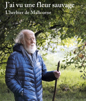 J'AI VU UNE FLEUR SAUVAGE - L'HERBIER DE MALICORNE