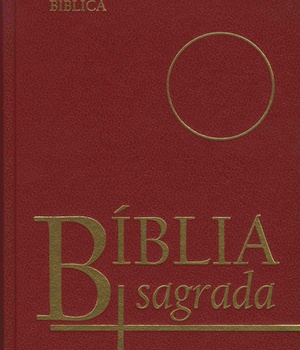 BIBLIA SAGRADA - BIBLE PORTUGAIS PETIT FORMAT RELIEE 10 X 15 CM
