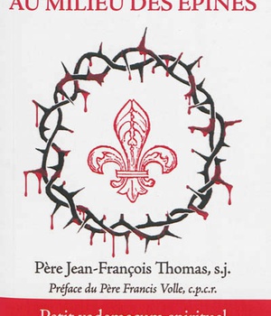 COMME UN LYS AU MILIEU DES EPINES