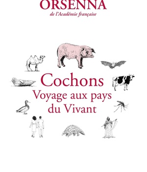 COCHONS. VOYAGE AUX PAYS DU VIVANT - PETIT PRECIS DE MONDIALISATION VI