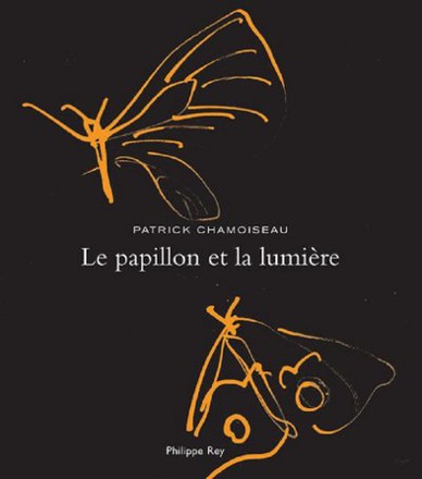 LE PAPILLON ET LA LUMIERE