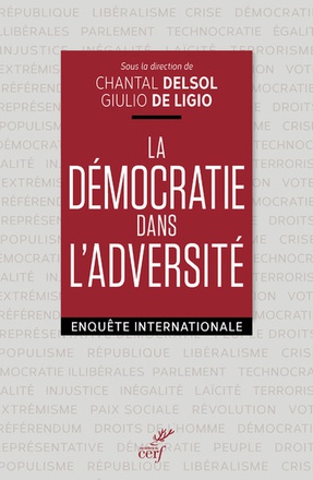 LA DEMOCRATIE DANS L'ADVERSITE