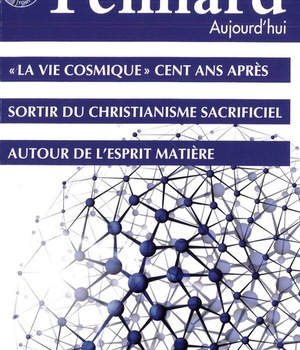 TEILHARD AUJOURD'HUI - T58 - N 58 - TEILHARD AUJOURD'HUI - JUIN 2016 - LA VIE COSMIQUE CENT ANS APRE