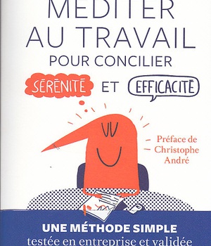 MEDITER AU TRAVAIL - POUR CONCILIER SERENITE ET EFFICACITE