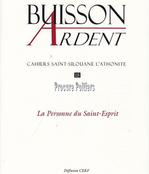 BUISSON ARDENT - NUMERO 18 LA PERSONNE DU SAINT-ESPRIT