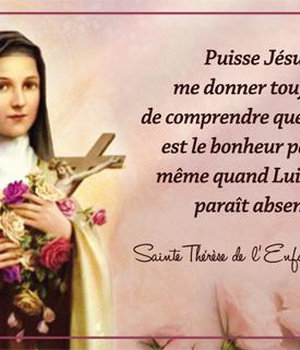 IMAGES SAINTE THERESE DE L'ENFANT-JESUS PAR LOT DE 20