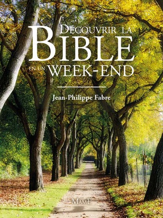 DECOUVRIR LA BIBLE EN UN WEEK-END ( BICP* )