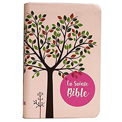 BIBLE SEGOND 1910 - ROSE