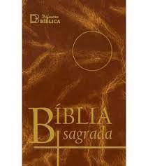 BIBLIA SAGRADA - BIBLE PORTUGAIS RELIEE COUVERTURE RIGIDE 14 X 21 CM