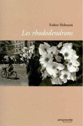 LES RHODODENDRONS