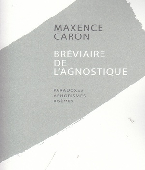BREVIAIRE DE L'AGNOSTIQUE PARADOXES, APHORISMES, POEMES - PREMIERES PENSEES, 1994-1995