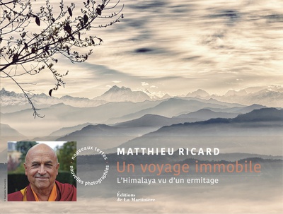 UN VOYAGE IMMOBILE (NVELLE EDITION)