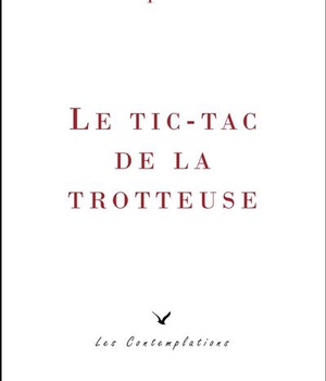 LE TIC-TAC DE LA TROTTEUSE