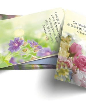 LOT DE 100 MINI CARTES BIBLIQUES : CELEBREZ DIEU NDSP