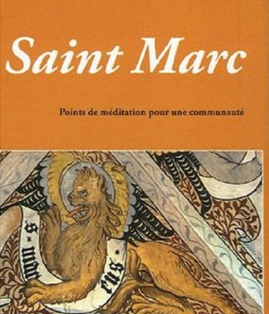 L'EVANGILE DE SAINT MARC, UN COMMENTAIRE INEDIT - POINTS DE MEDITATION POUR UNE COMMUNAUTE