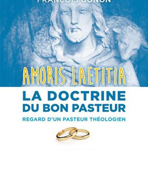 AMORIS LAETITIA : LA DOCTRINE DU BON PASTEUR - REGARD D'UN CURE DE PAROISSE & THEOLOGIEN